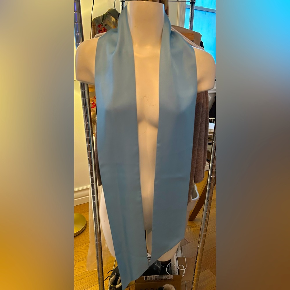 BCBG Silk Scarf